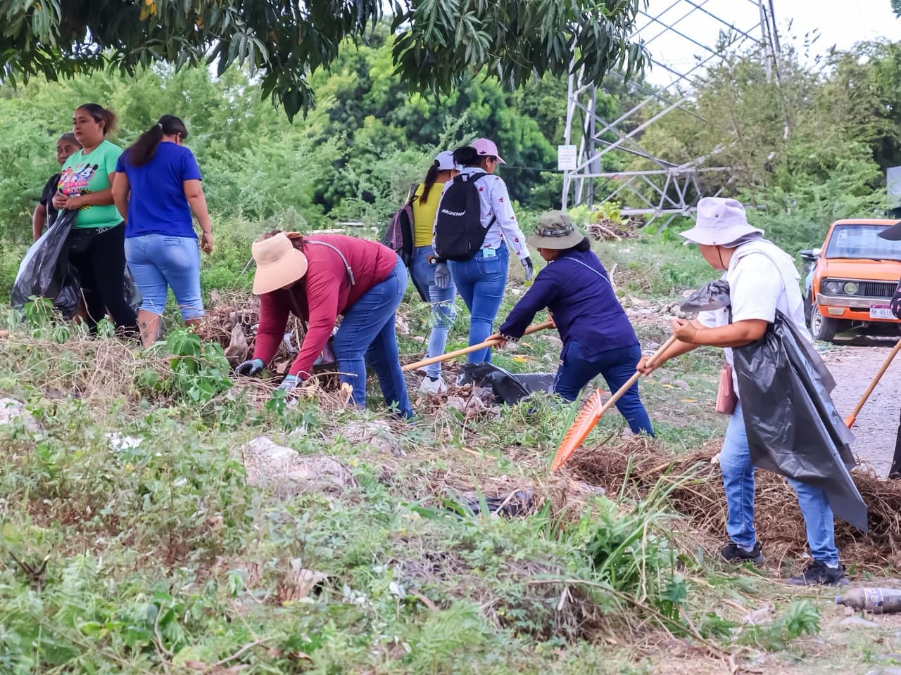 Imagen 3 de Gobierno Municipal Realiza con Éxito Campaña de Limpieza y Descacharrización en El Veladero.
