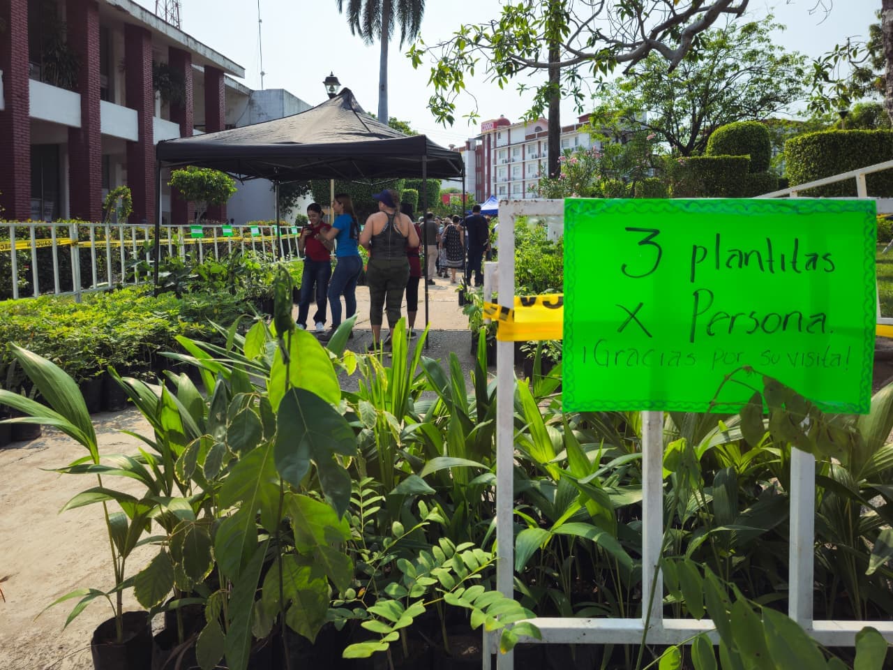 Imagen 3 de Realiza Gobierno Municipal Gran Entrega Masiva de Plantas.