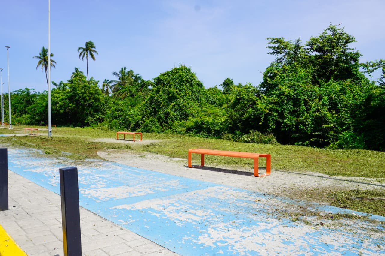 Imagen 6 de Gobierno Municipal Realiza Limpieza en el Nuevo Acceso al Bulevar Costero.